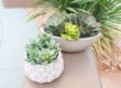 The Do's and Don'ts of Picking a Container for Your Outdoor Arrangement