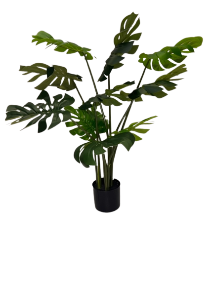 40" Potted Monstera Plant