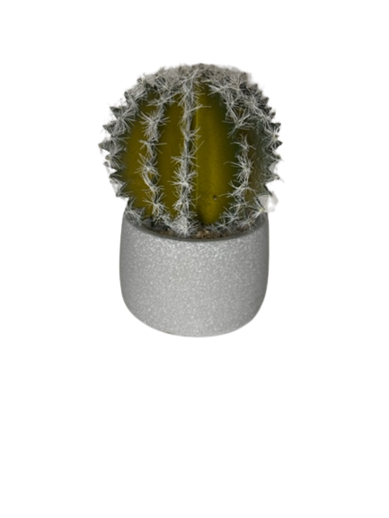 Faux Barrel Cactus
