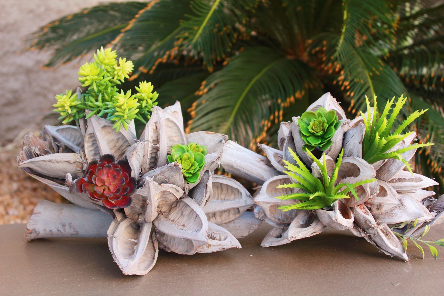 10 Super Fun Ways to Create a Succulent Display In Your Home!