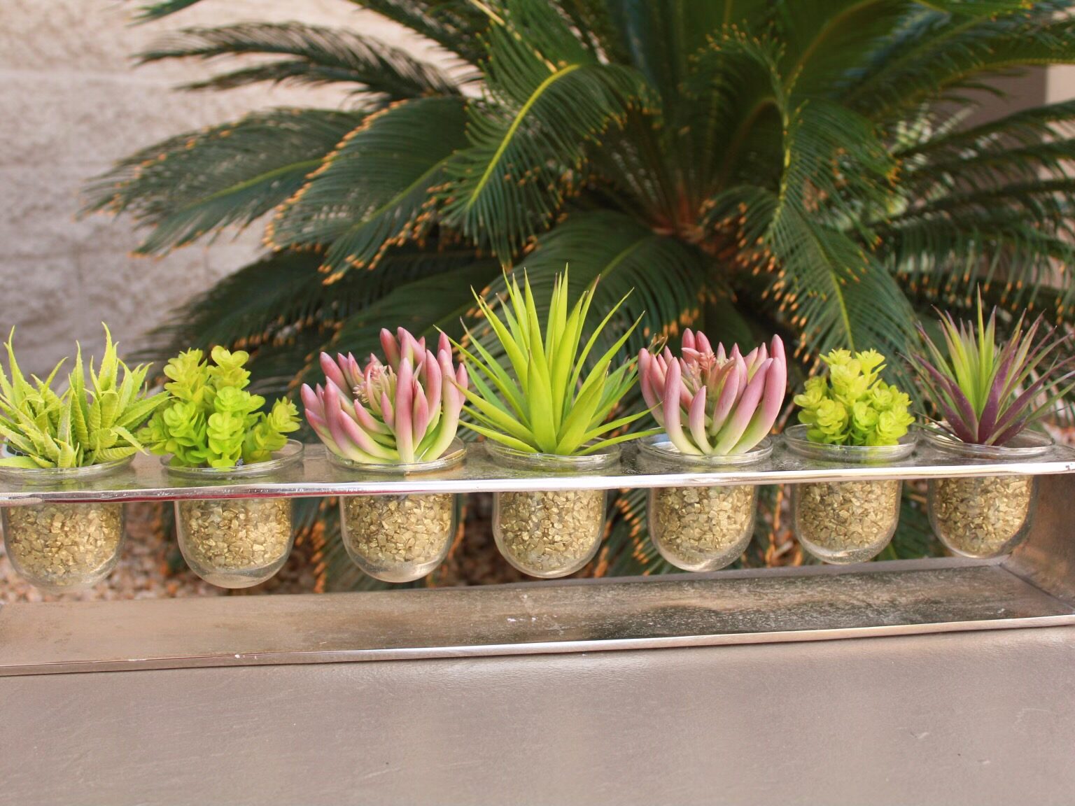 10 Super Fun Ways to Display Succulents In Your Contemporary Home!