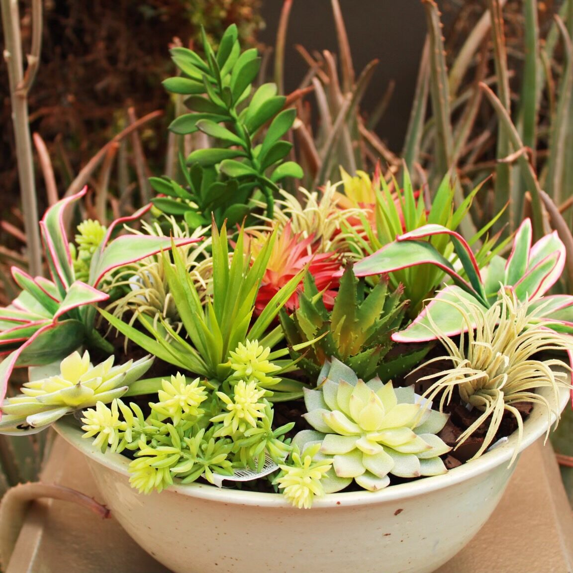 The Do's and Don'ts of Picking a Container for Your Outdoor Arrangement
