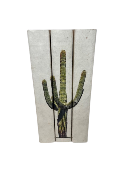 Saguaro Cactus Book Set