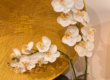 Orchid Benefits in Interior Design: Elevating Elegance and Serenity