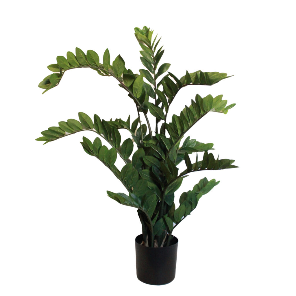 Z Z Plant CeTerra Accents & Interiors