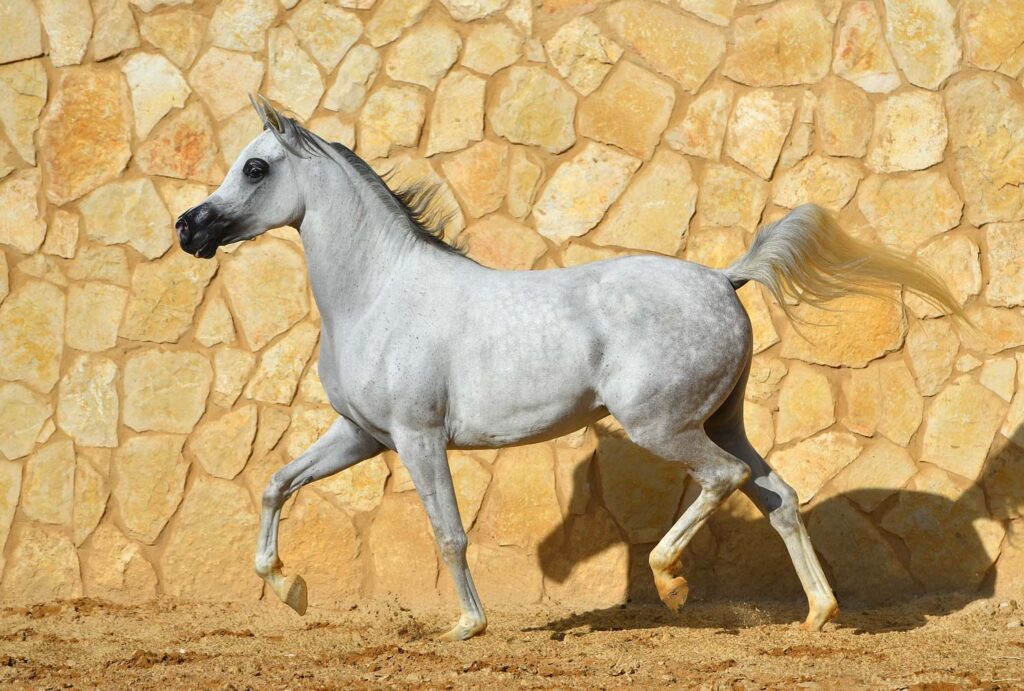 Local Events For February 2022 CeTerra Accents &amp; Interiors